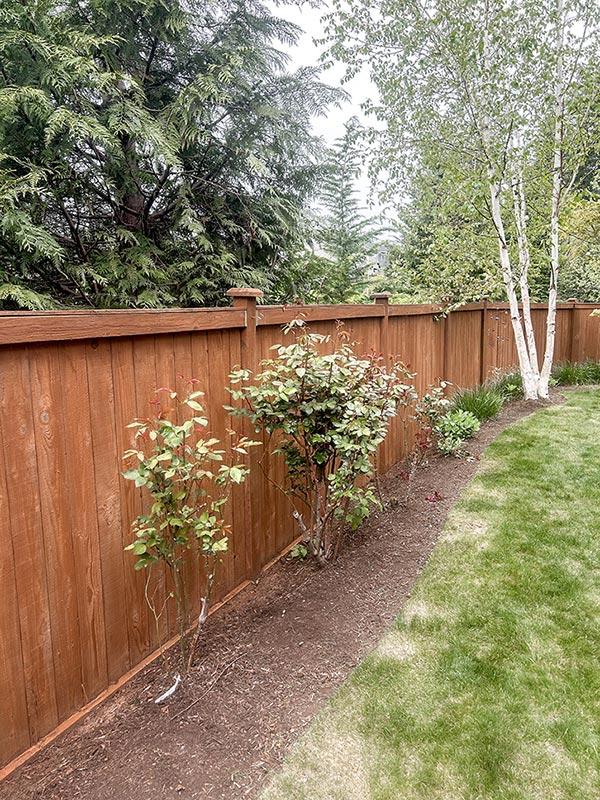 Gig Harbor Fence Staining - Fence Staining in Gig Harbor, Washington
