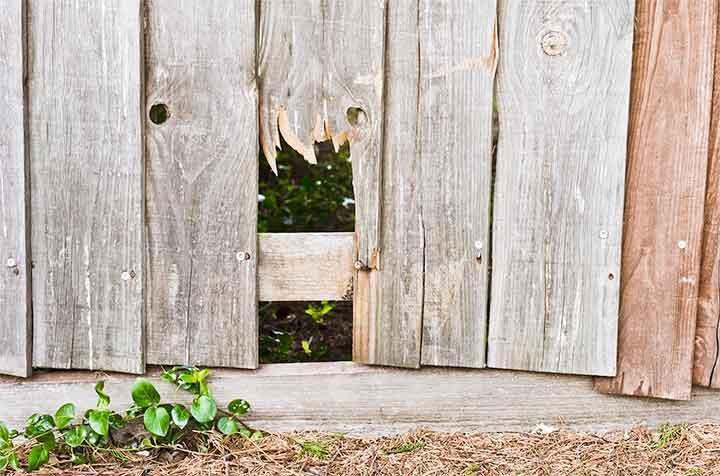 Fence Maintenance in Longbranch - Sound Custom Fences