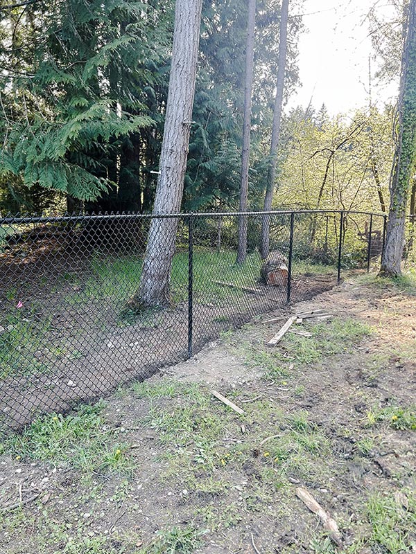 Bainbridge Island Chain Link Fence - Chain Link Fence Installation - Image 5 in Bainbridge Island, Washington