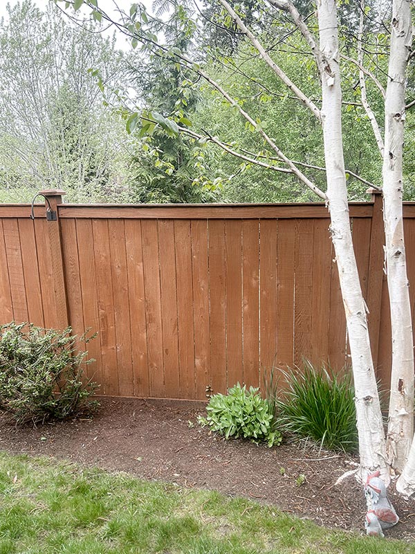 Gig Harbor Fence Staining - Fence Staining - Image 4 in Gig Harbor, Washington